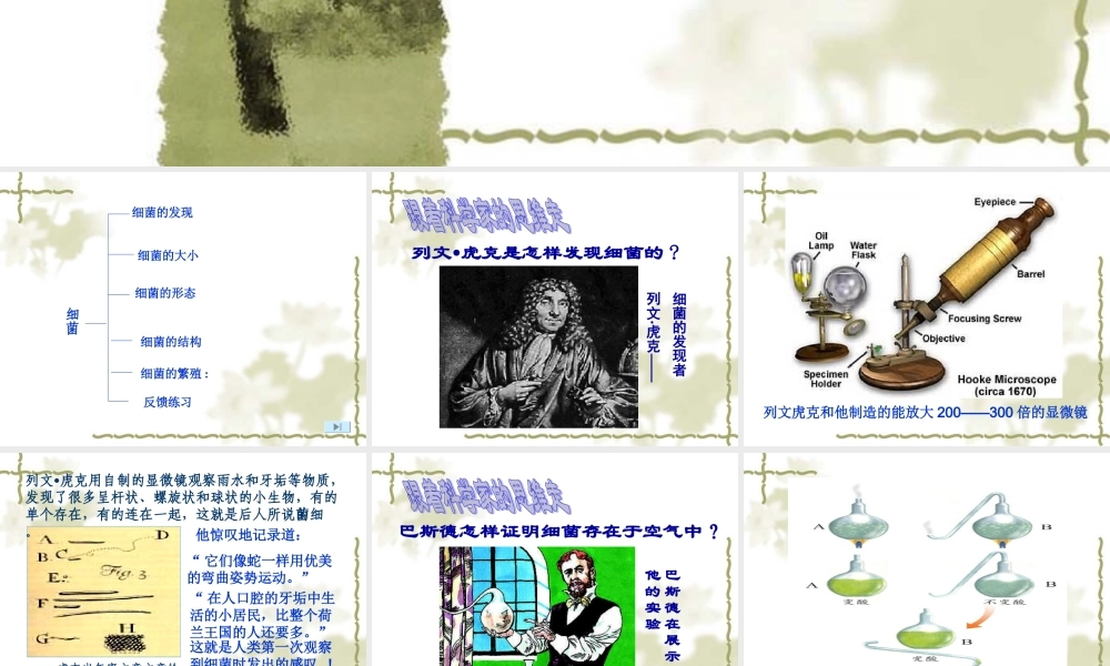 八年级生物 第二节细菌课件 新课标 人教版 课件