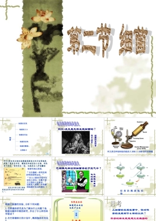 八年级生物 第二节细菌课件 新课标 人教版 课件