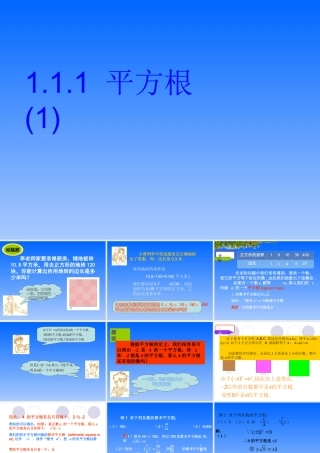八年级数学平方根课件1湘教版 课件