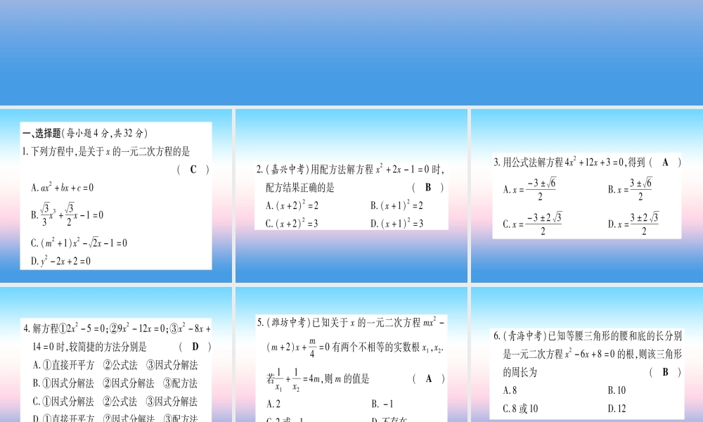 九年级数学下册 寒假作业(二)一元二次方程作业课件 (新版)湘教版 课件