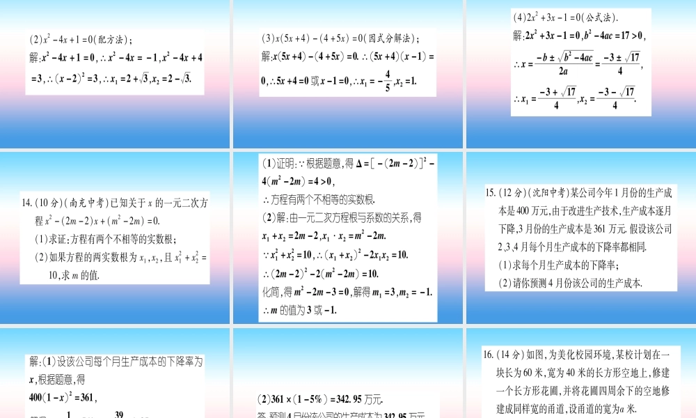 九年级数学下册 寒假作业(二)一元二次方程作业课件 (新版)湘教版 课件