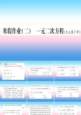 九年级数学下册 寒假作业(二)一元二次方程作业课件 (新版)湘教版 课件