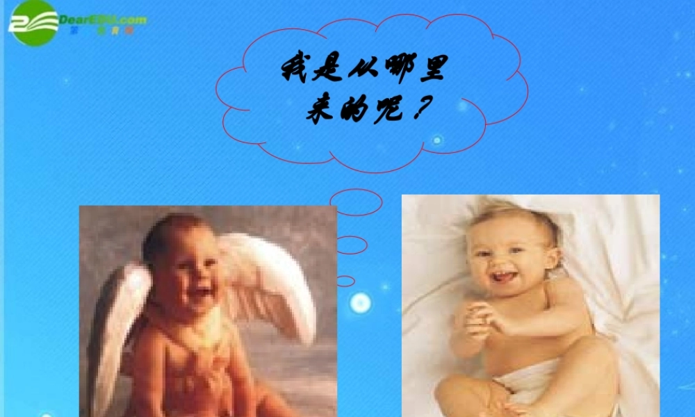 八年级生物上册 第三章第一节婴儿的诞生课件 济南版 课件