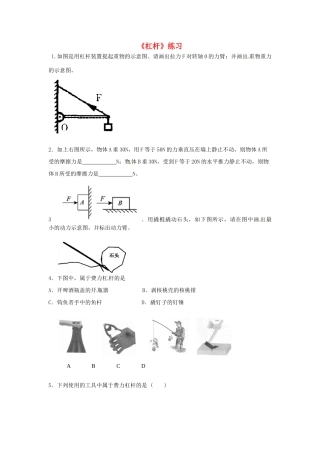 九年级物理(杠杆)练习1(无答案) 课件