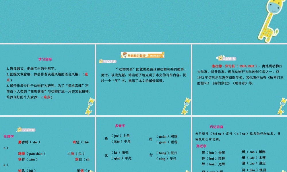七年级语文上册 第五单元 第17课(动物笑谈)课件 新人教版 课件