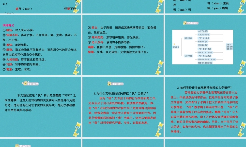 七年级语文上册 第五单元 第17课(动物笑谈)课件 新人教版 课件