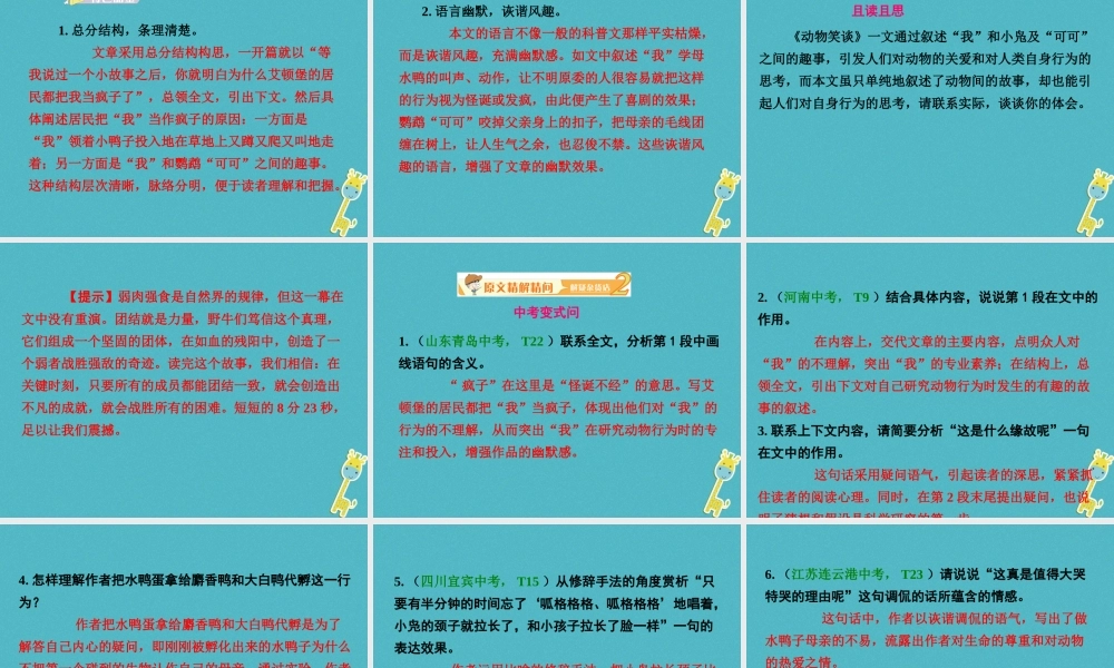 七年级语文上册 第五单元 第17课(动物笑谈)课件 新人教版 课件