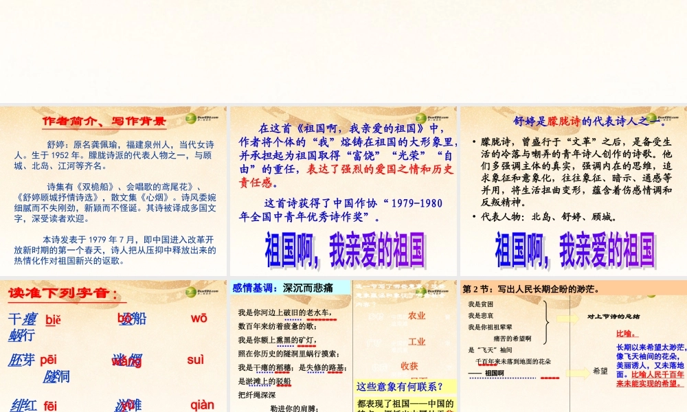 九年级语文下册(第3课 祖国啊，我亲爱的祖国)课件 新人教版 课件