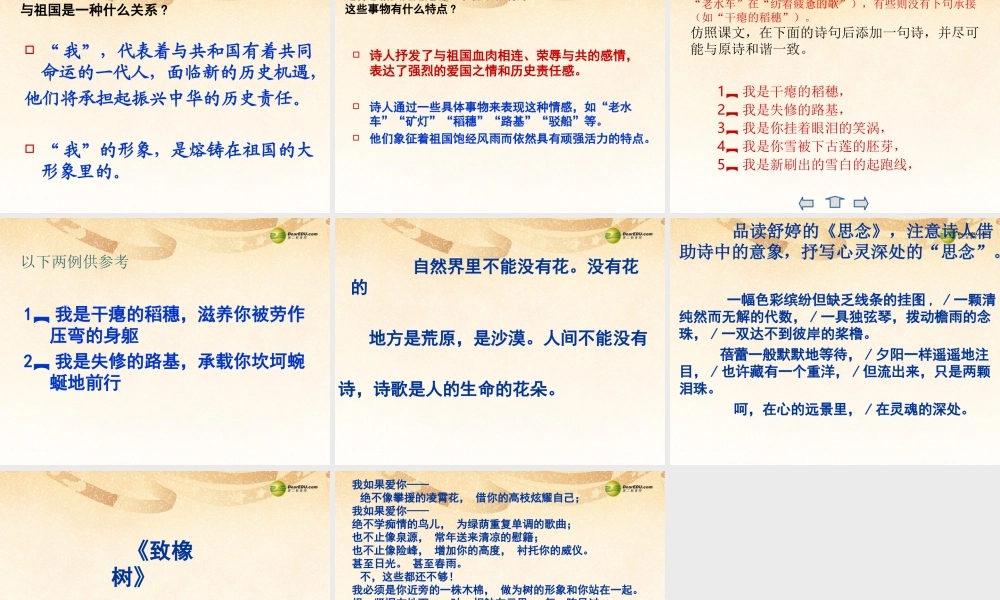 九年级语文下册(第3课 祖国啊，我亲爱的祖国)课件 新人教版 课件