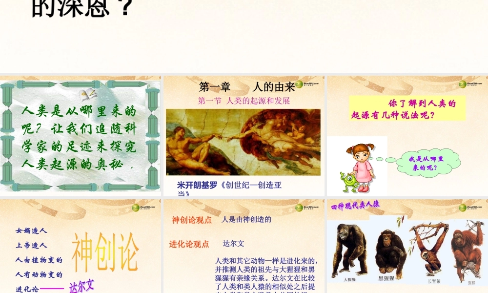中学七年级生物下册 第四单元 1.1 人类的起源和发展课件 新人教版 课件