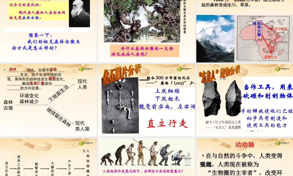 中学七年级生物下册 第四单元 1.1 人类的起源和发展课件 新人教版 课件