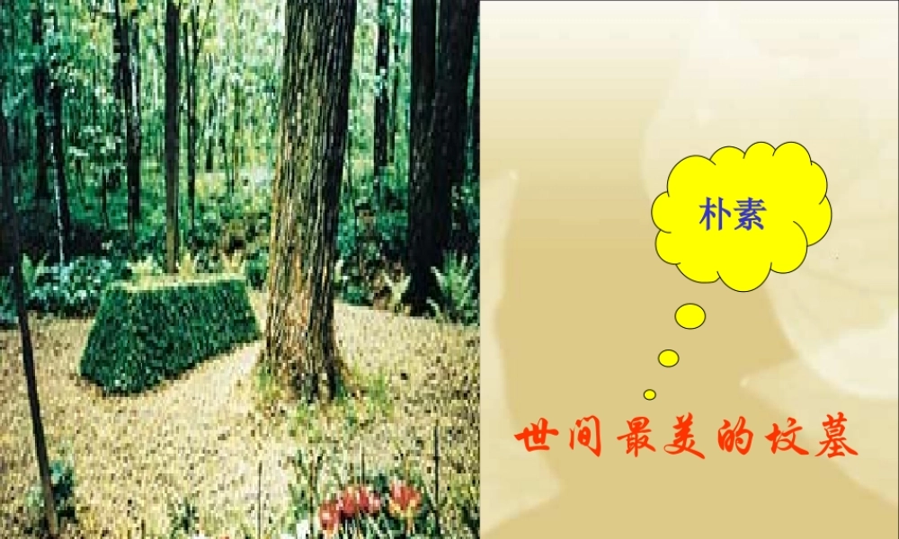 人教版高一语文世间最美的坟墓课件1 课件