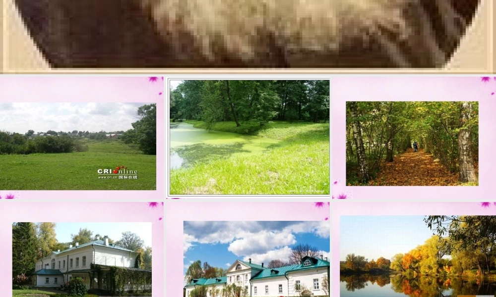 八年级语文下册 5(列夫托尔斯泰)教学课件 鲁教版 课件