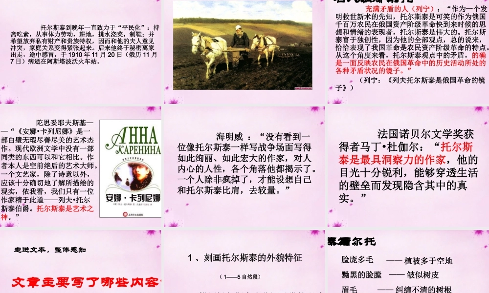 八年级语文下册 5(列夫托尔斯泰)教学课件 鲁教版 课件