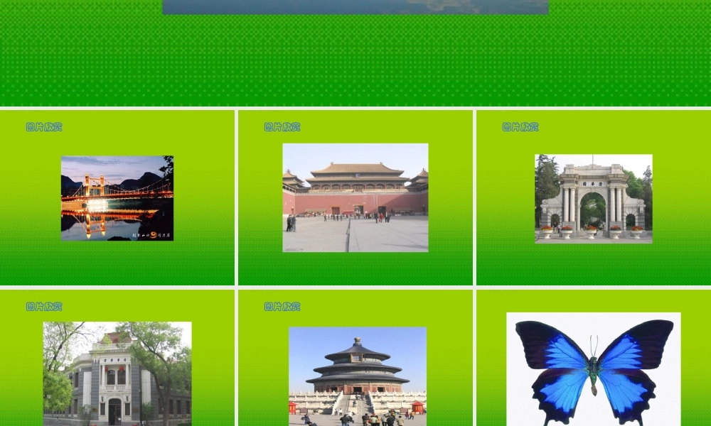 七年级数学下册 利用轴对称设计图案课件 华东师大版 课件