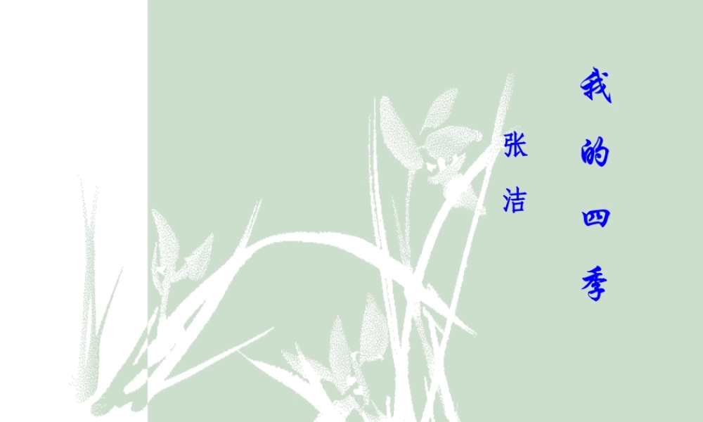 我的四季张洁课件 苏教版 课件