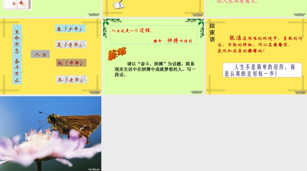 我的四季张洁课件 苏教版 课件