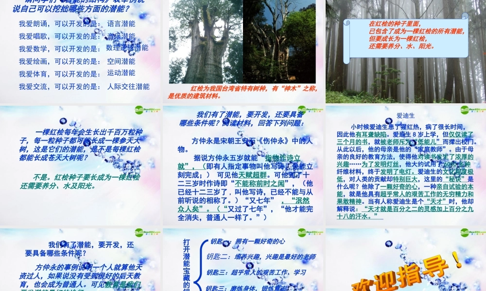 八年级政治下册 第三课打开自己的宝藏课件 人民版 课件