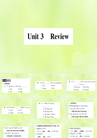 七年级英语上册 Unit 3 Body Parts and Feelings Review课件 (新版)冀教版 课件