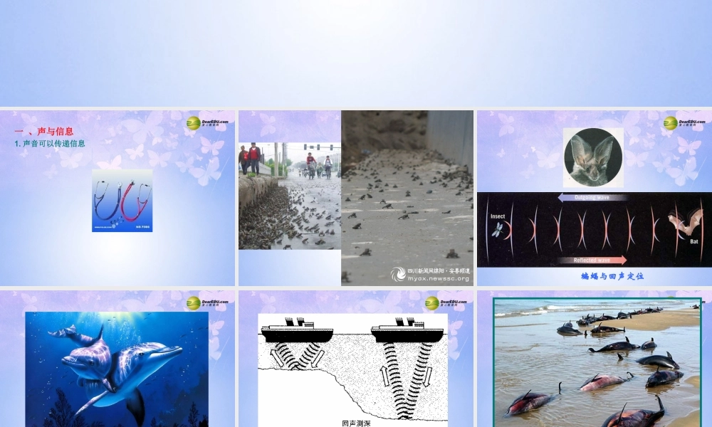 中学八年级物理上册 2.3 声的利用课件 新人教版 课件