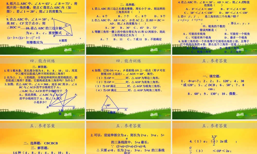 九年级数学中考专题(空间与图形)—第五讲(三角形(一))课件(北师大版) 九年级数学中考专题课件-空间与图形(共18套)北师大版