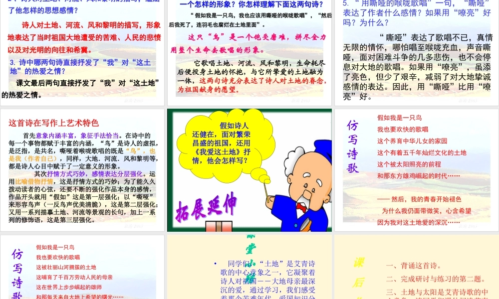 七年级语文下册 第13课(我爱这土地)课件 语文版 课件