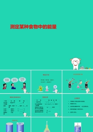 七年级生物下册 4.2.1(食物中的营养物质)测定某种食物中的能量实验课件 (新版)新人教版 课件