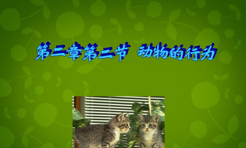 八年级生物上册 第五单元 第二章 第2节 先天行为和学习行为课件 (新版)新人教版 课件