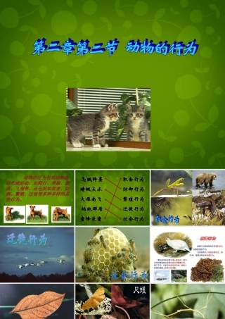 八年级生物上册 第五单元 第二章 第2节 先天行为和学习行为课件 (新版)新人教版 课件