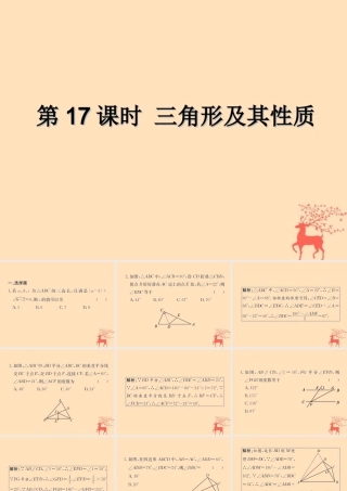 中考数学复习 第17课时 三角形及其性质(课后作业)课件