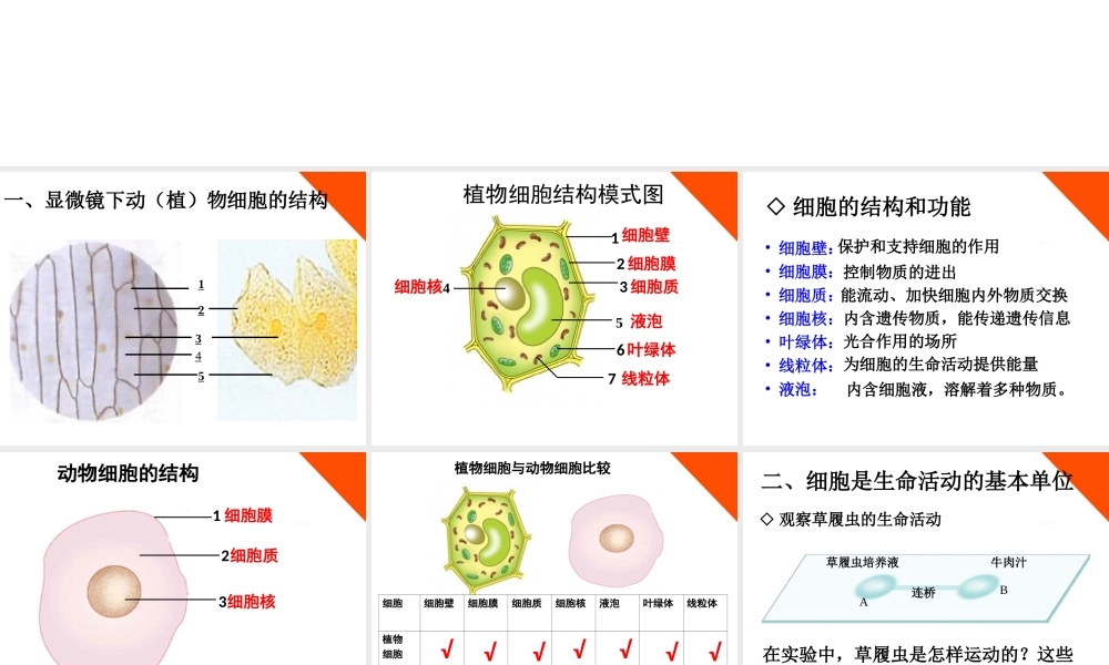 七年级生物上册 第二章第二节细胞的结构和功能课件 济南版 课件
