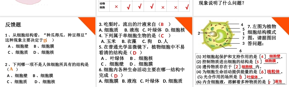 七年级生物上册 第二章第二节细胞的结构和功能课件 济南版 课件