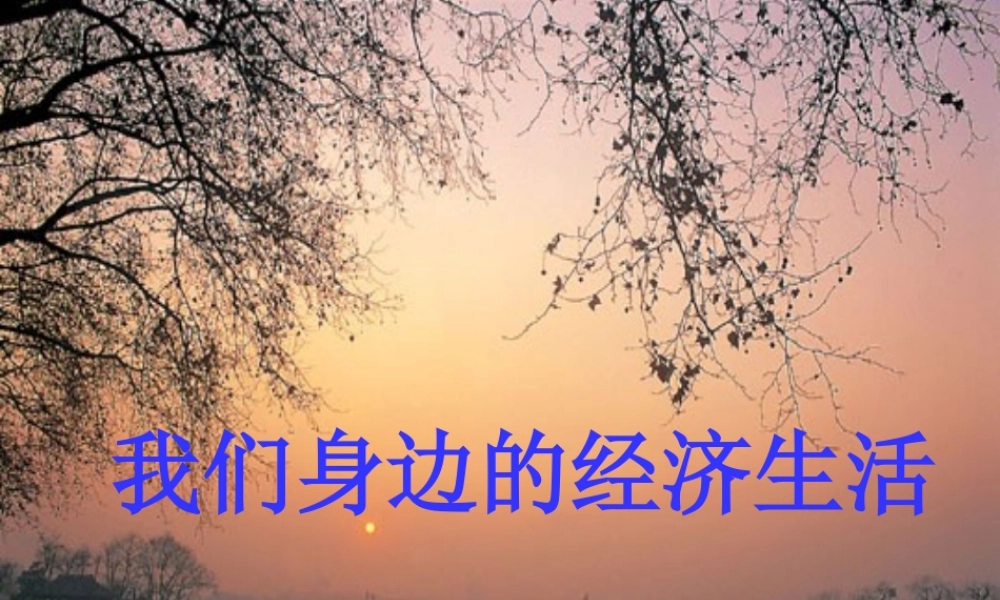 八年级政治上册 我们身边的经济生活课件 湘教版 课件