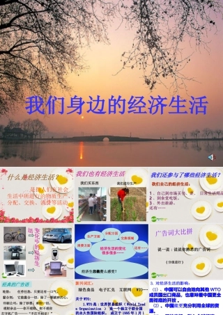 八年级政治上册 我们身边的经济生活课件 湘教版 课件