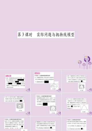 九年级数学上册 第二十二章 二次函数 223 实际问题与二次函数 第3课时 实际问题与抛物线类型作业课件 (新版)新人教版 课件