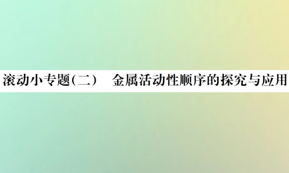 中考化学复习 滚动小专题(二)金属活动性顺序的探究与应用课件