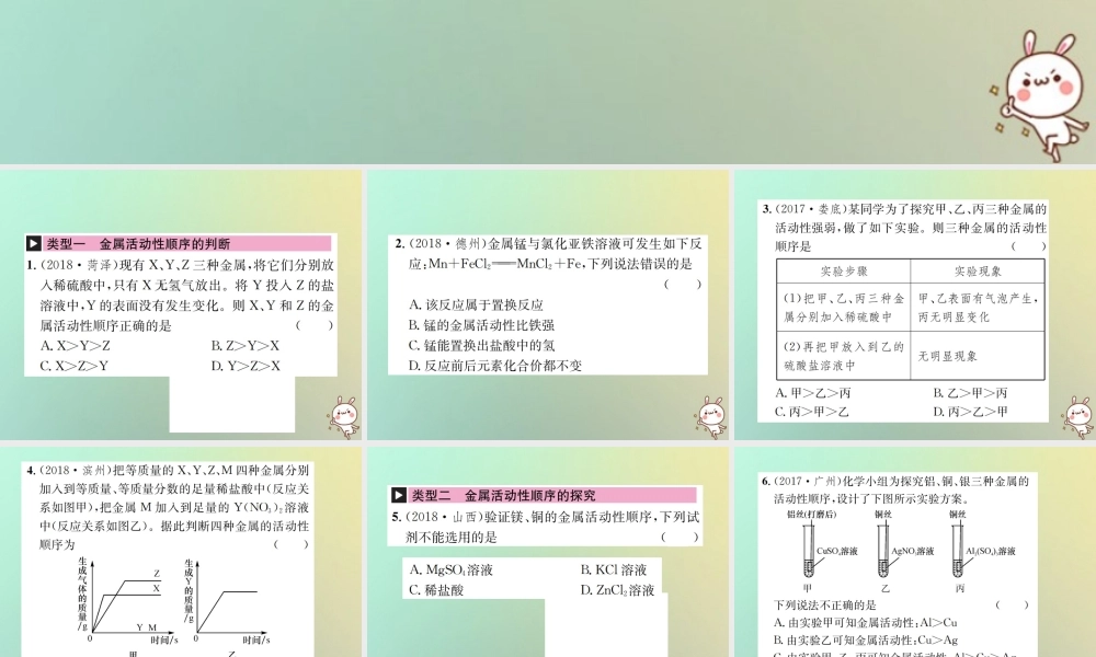 中考化学复习 滚动小专题(二)金属活动性顺序的探究与应用课件