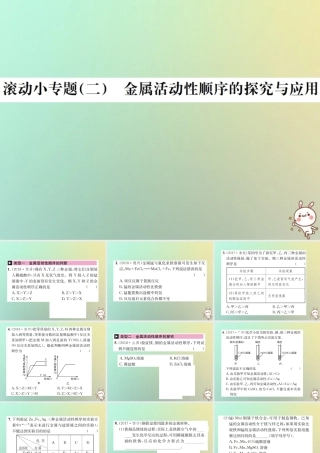 中考化学复习 滚动小专题(二)金属活动性顺序的探究与应用课件