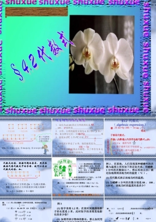七年级数学代数式课件3 苏教版 课件