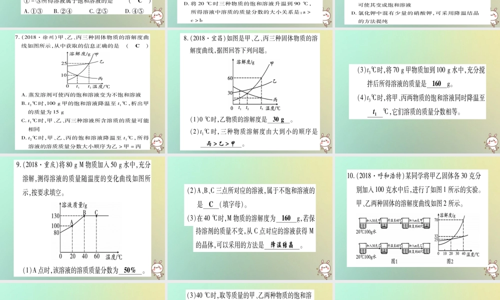 中考化学准点备考复习 专项突破四 溶解度及溶解度曲线课件 新人教版 课件