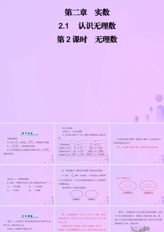 八年级数学上册 第二章 实数 2.1 认识无理数 第2课时 无理数习题课件 (新版)北师大版 课件