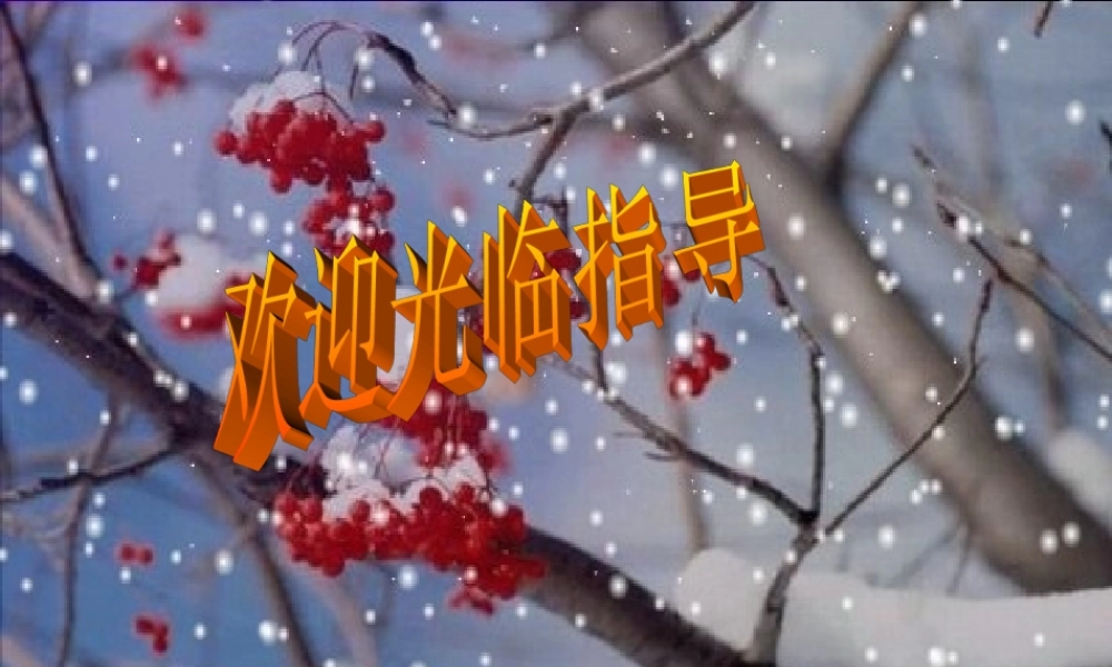 八年级语文下册 (雪)教学课件 人教新课标版 课件