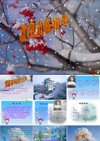 八年级语文下册 (雪)教学课件 人教新课标版 课件
