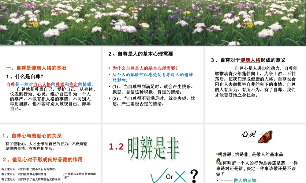 八年级政治上一二单元复习课件 粤教沪版 课件