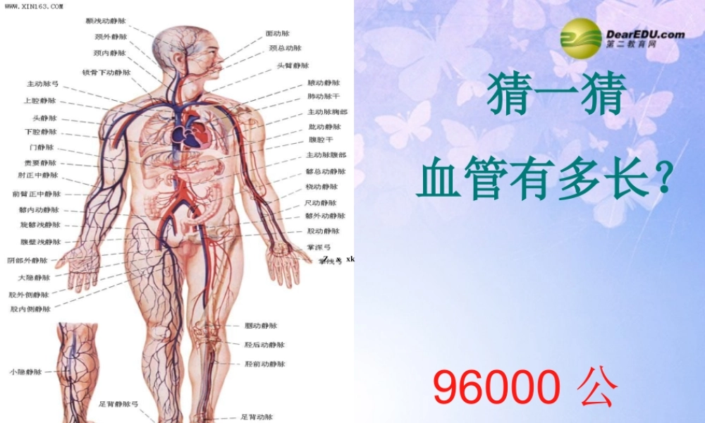 八年级生物上册 第四章 第一节  流动的组织-血液课件 鲁科版 课件