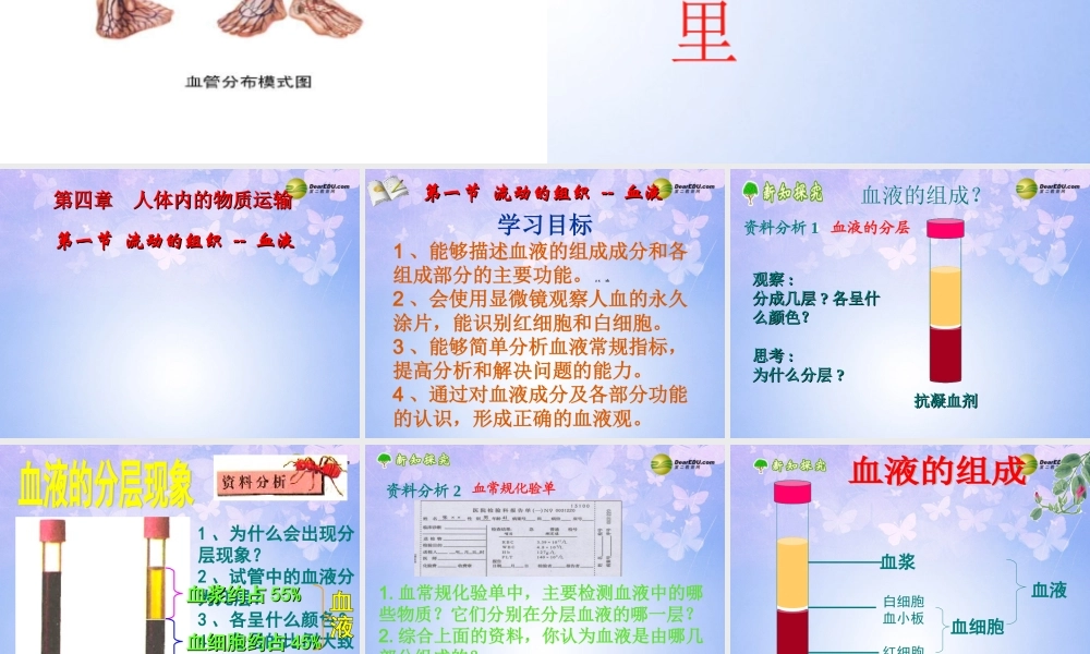 八年级生物上册 第四章 第一节  流动的组织-血液课件 鲁科版 课件