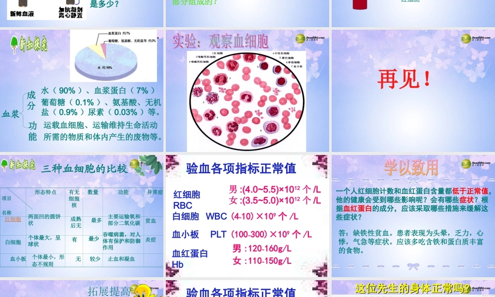 八年级生物上册 第四章 第一节  流动的组织-血液课件 鲁科版 课件