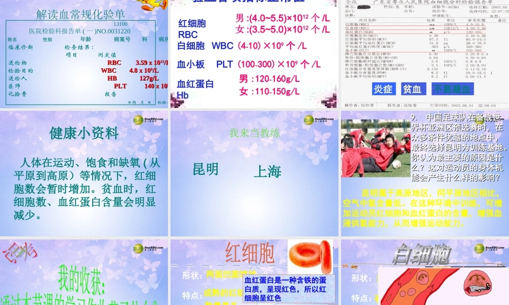 八年级生物上册 第四章 第一节  流动的组织-血液课件 鲁科版 课件