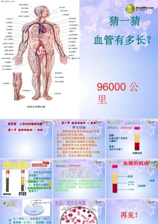 八年级生物上册 第四章 第一节  流动的组织-血液课件 鲁科版 课件