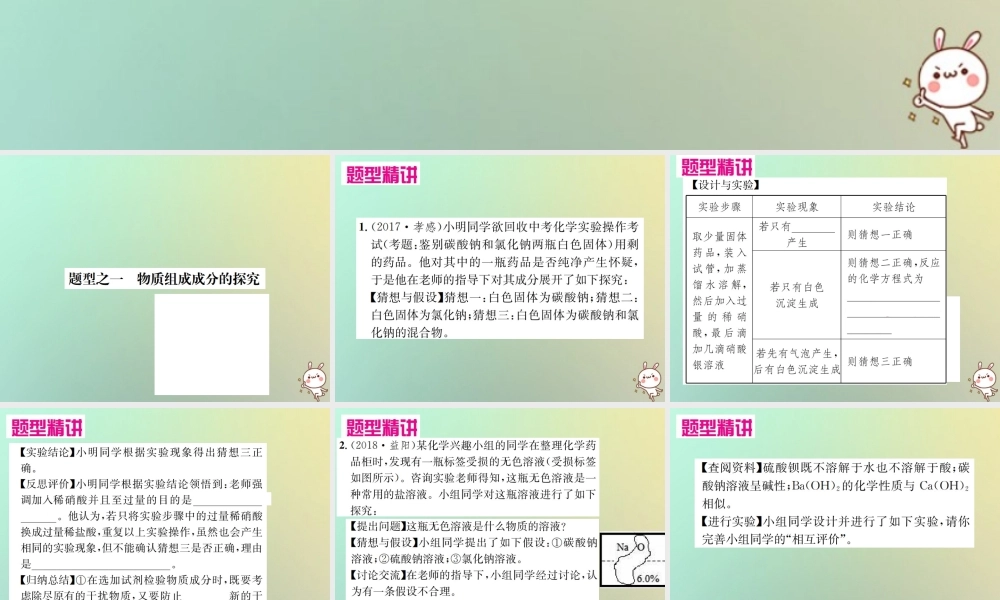 中考化学复习 题型复习(四)实验探究题 题型之一 物质组成成分的探究课件